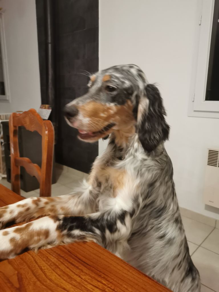 Rangiroa my lady du clos des sept terres